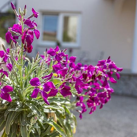 Apartment Ana Polje エクステリア 写真